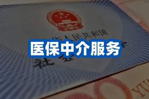 医保中介服务